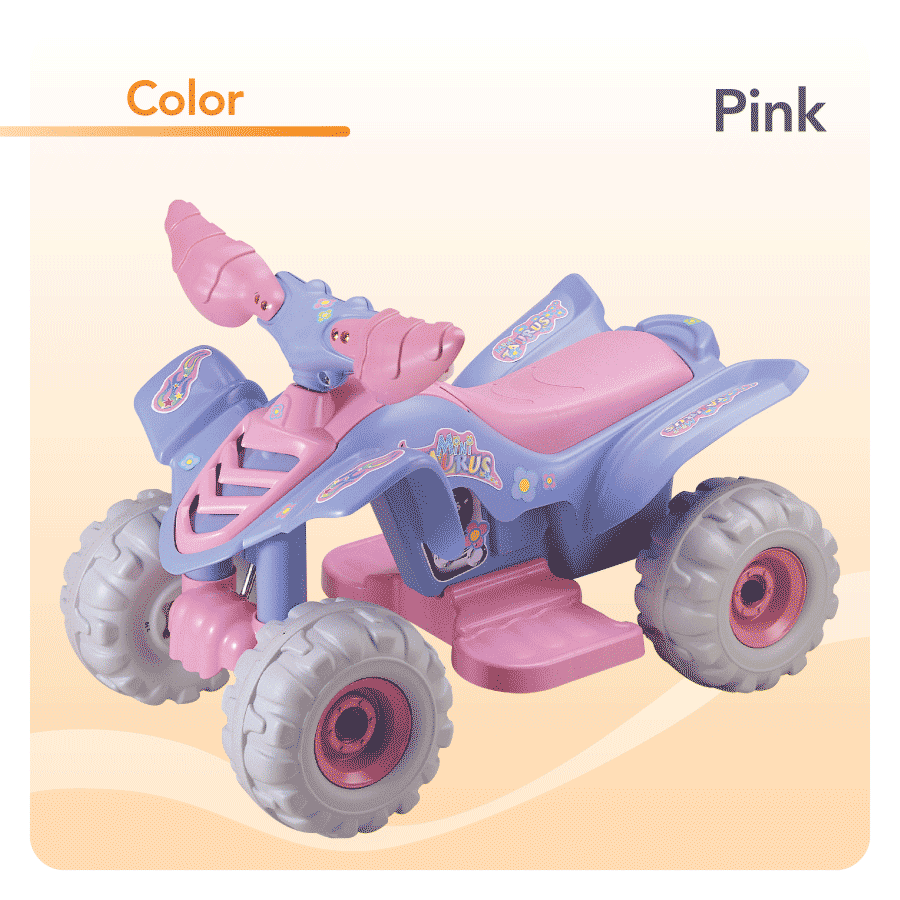 Mini power hotsell wheels quad
